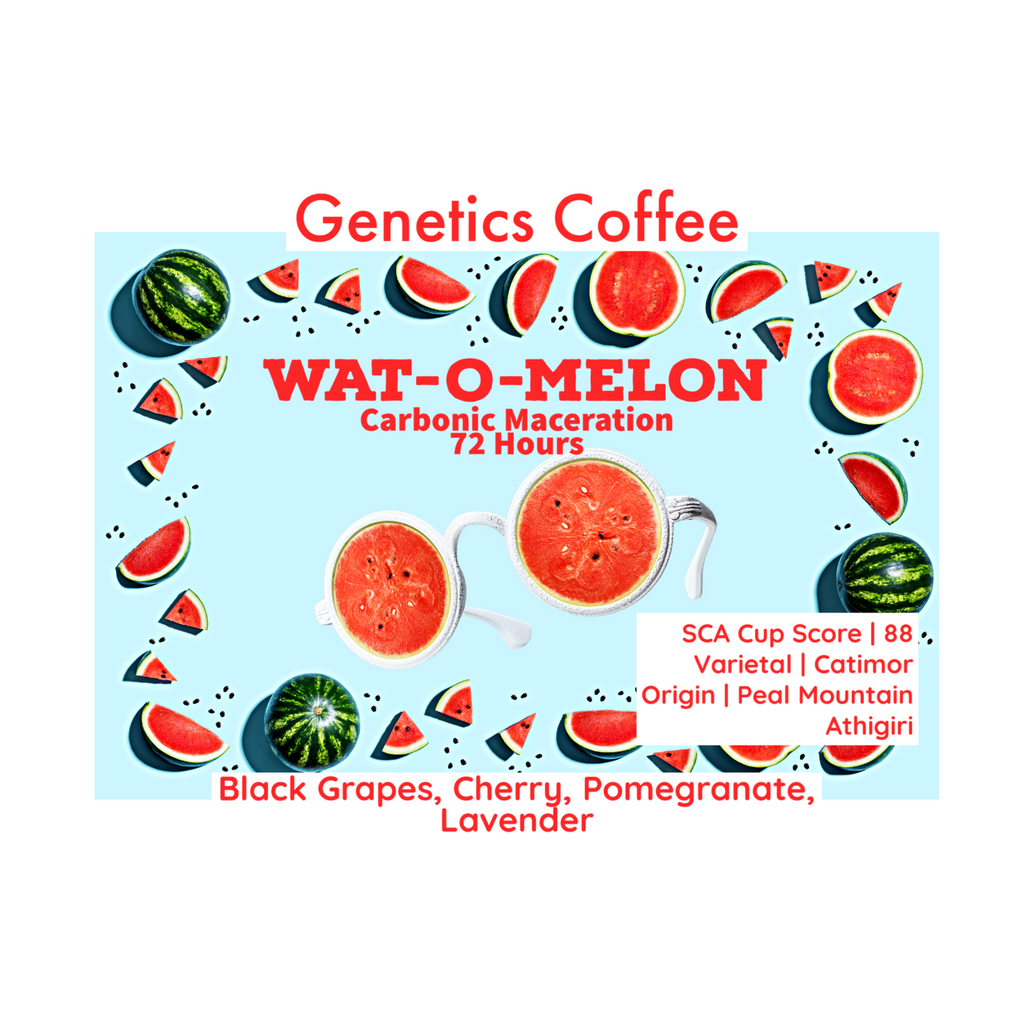Wat-O-Melon (Pre-Order) – CuCoBox