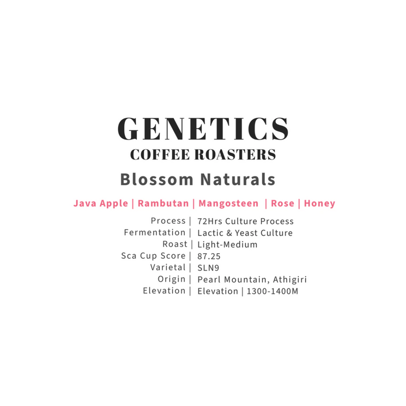 Blossom Naturals - 72 Hours Culture Process
