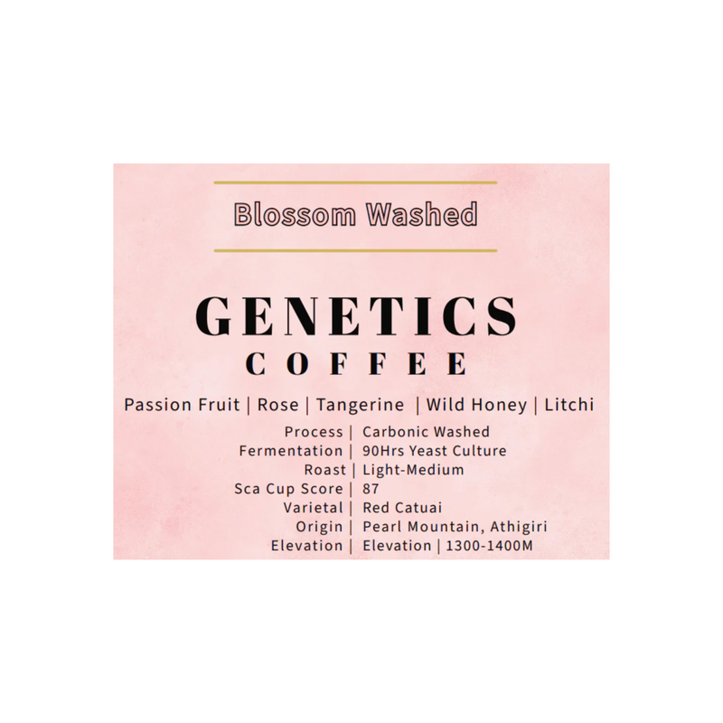 Blossom Washed - 90 Hours Sequential Yeast Culture